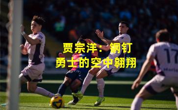  贾宗洋：钢钉勇士的空中翱翔