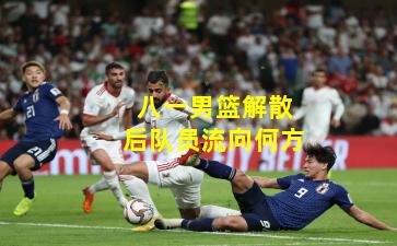 八一男篮解散后队员流向何方