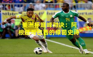 美洲杯巅峰对决：阿根廷与巴西的绿茵史诗