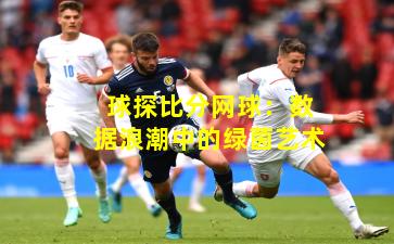 球探比分网球：数据浪潮中的绿茵艺术