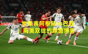 世预赛阿根廷vs巴西:南美双雄的绿茵博弈