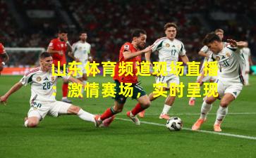 山东体育频道现场直播:激情赛场,实时呈现